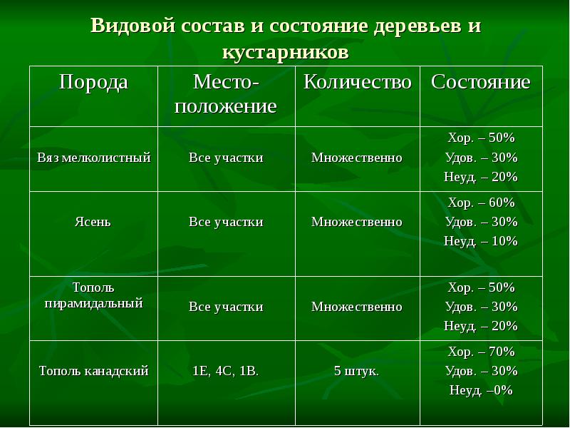 Уровни жизненного состояния растений. Состояние деревьев и кустарников. Видовой состав деревьев. Видовой состав деревьев и кустарников. Таблица состояния деревьев.