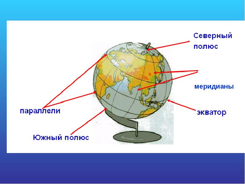 На глобусе проведены параллели. Глобус меридианы параллели Экватор. Экватор Меридиан параллель. Меридианы и параллели на глобусе. Меридиан параллель полюс Экватор.