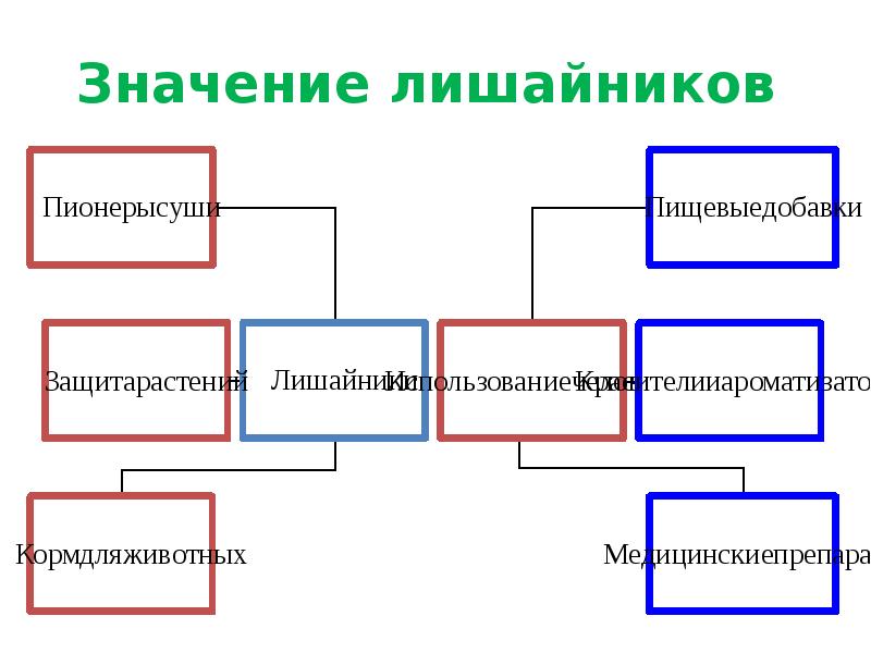 Схема значение лишайников