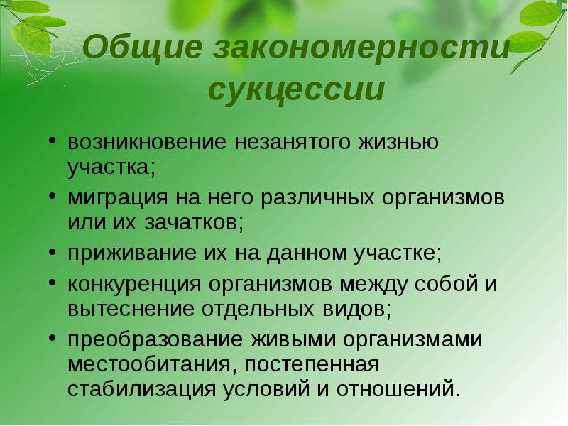 Презентация причины устойчивости и смены экосистем 9 класс биология