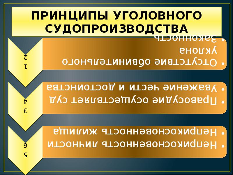 Уголовный процесс презентация 11 класс