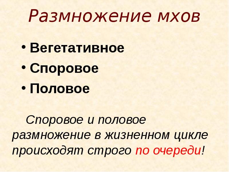 Расположение органов полового размножения у мхов