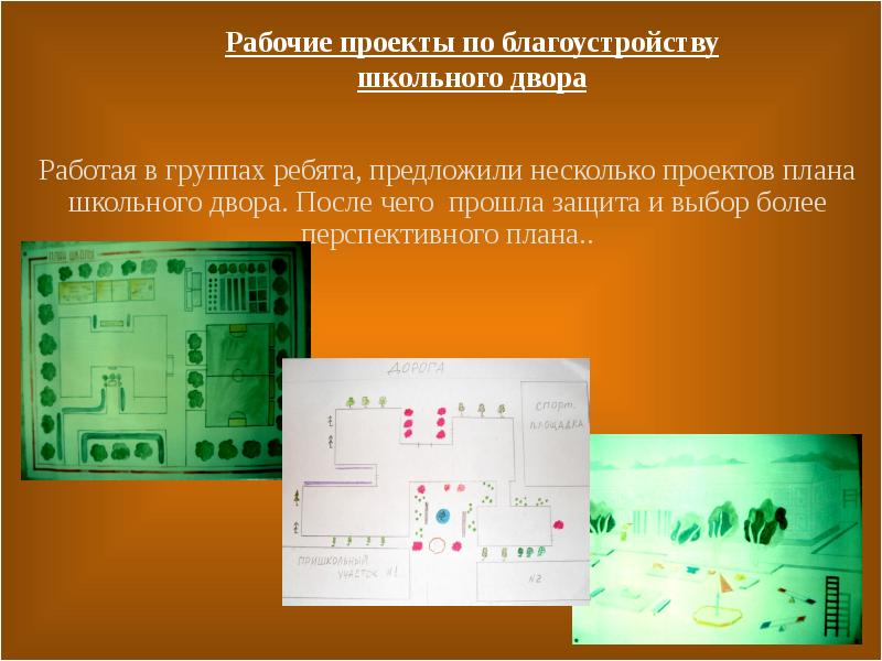 Трудовые проекты в школе