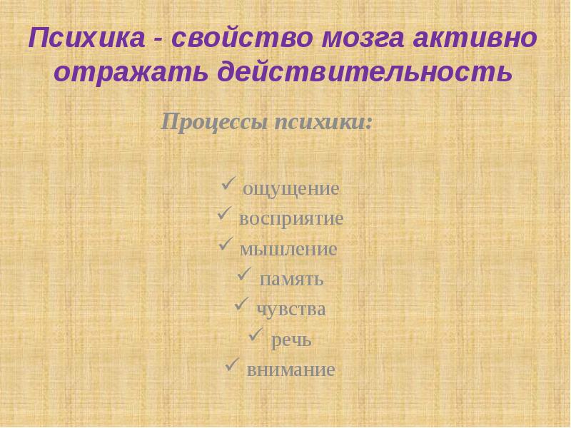 Свойства психических процессов памяти