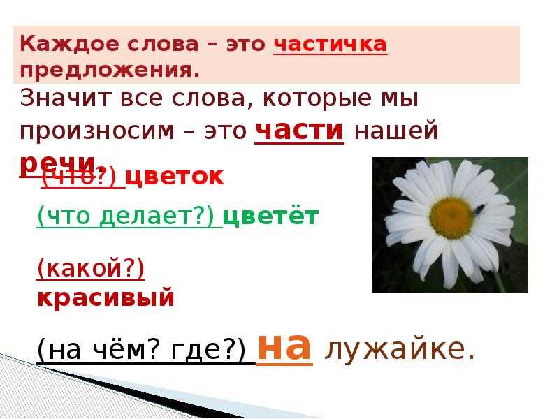 Слово цвести. Цветок части речи. Цветочки части речи. Цветок части речи в русском. Цветущий часть речи.