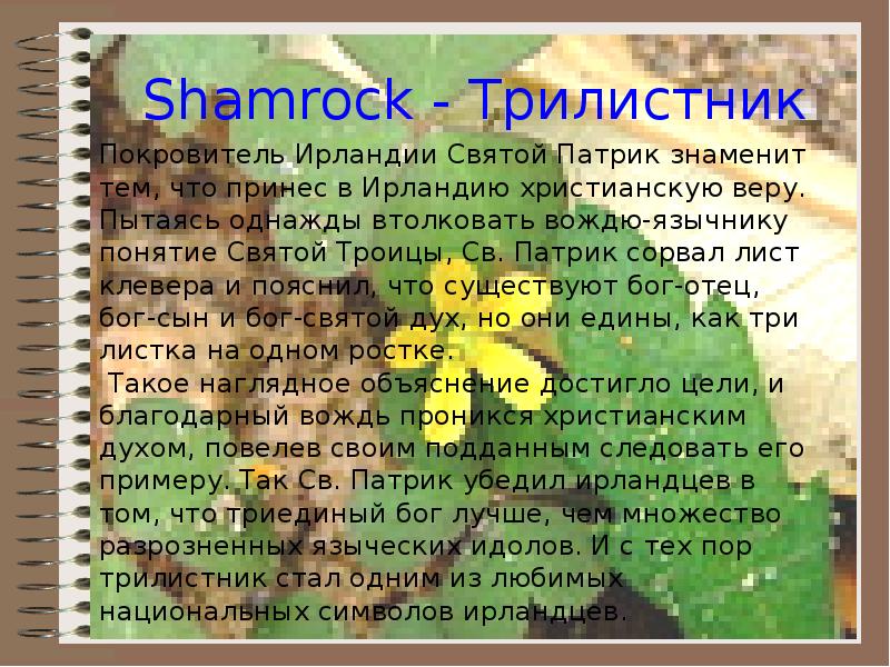 Shamrock - Трилистник