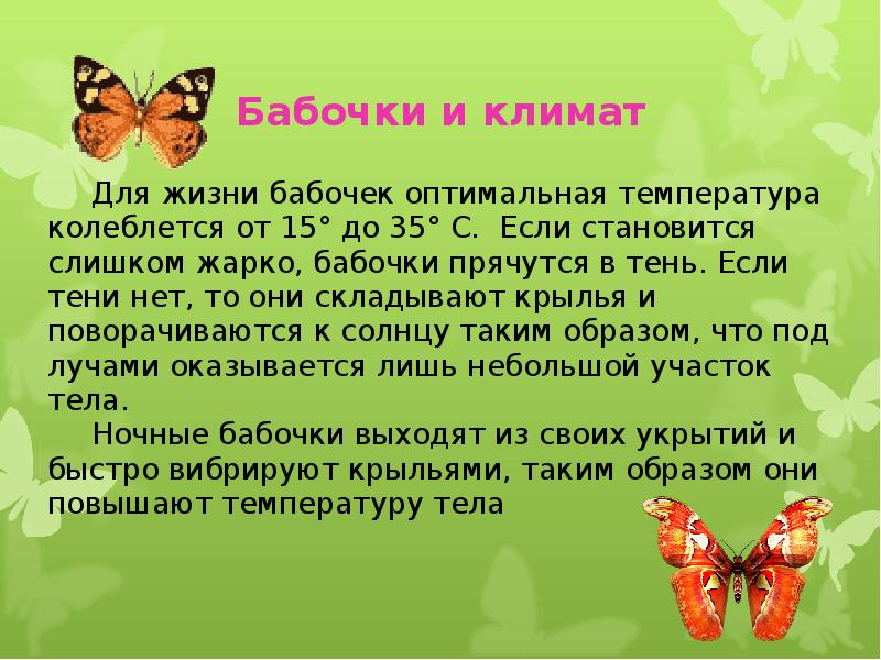 Бабочки презентация 2 класс