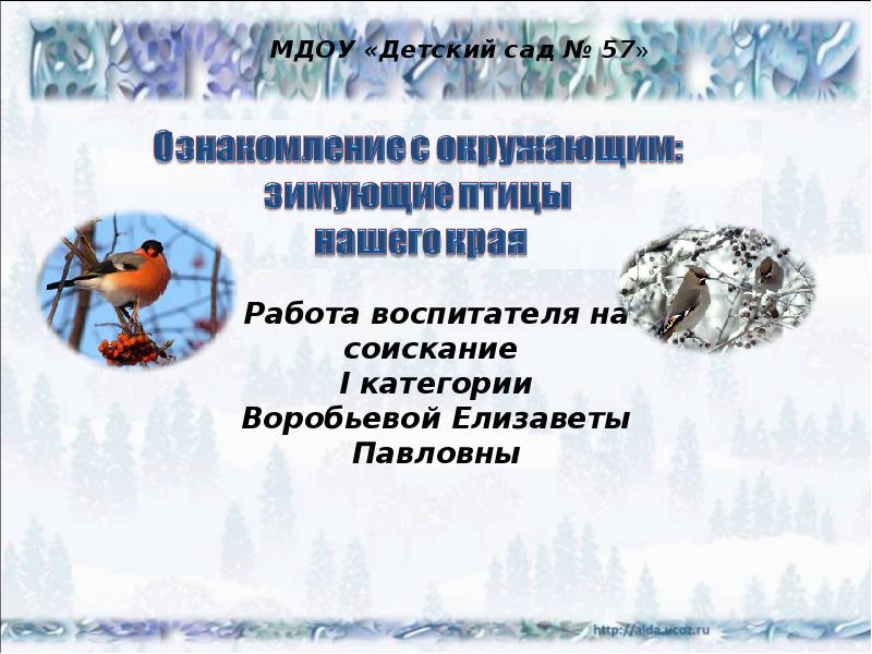 Окружающий мир зимующие птицы. Окружающий мир 4 класс птицы нашего края. Ознакомления с окружающим птицы Ставропольского края.