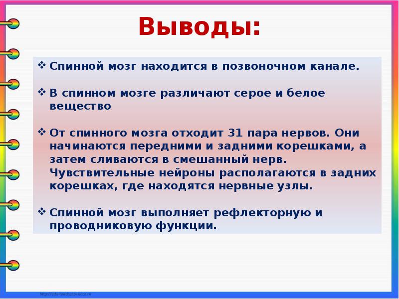 Презентация строение спинного мозга 8 класс презентация