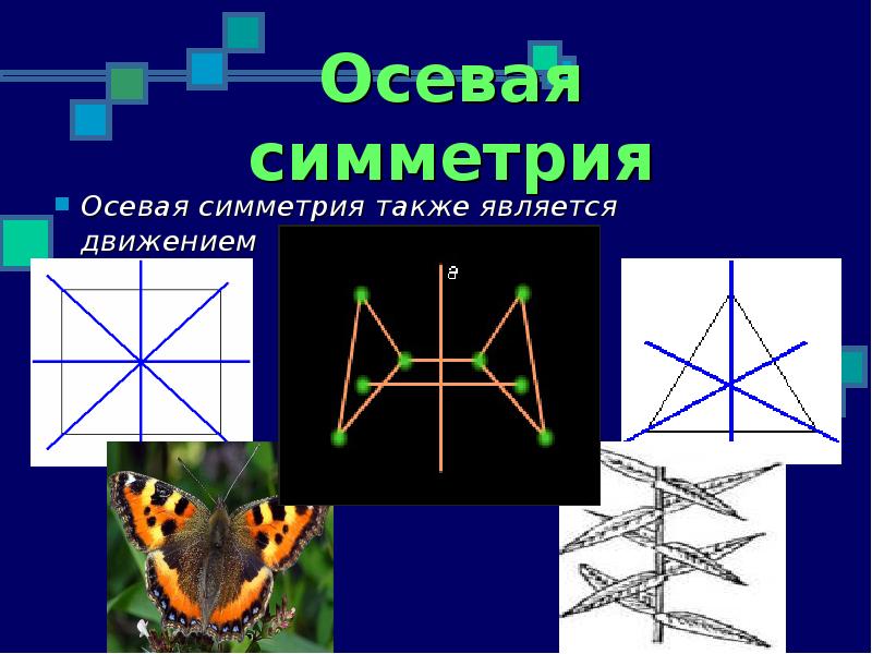 Виды симметрии с картинками