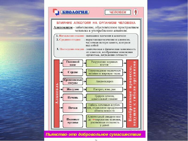 Презентация нет вредным привычкам