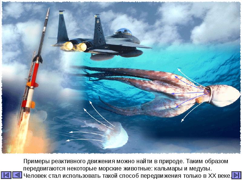 Примеры реактивного движения можно найти в природе. Таким образом передвигаются некоторые Примеры реактивного движения можно найти в природе. Таким образом передвигаются некоторые