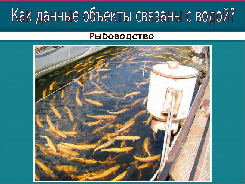 10 водных разом