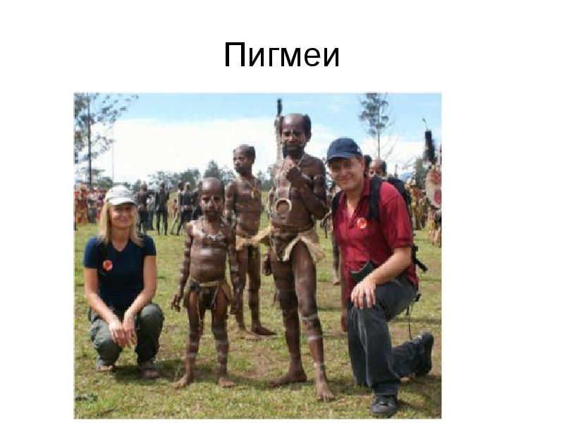 Пигмеи Пигмеи