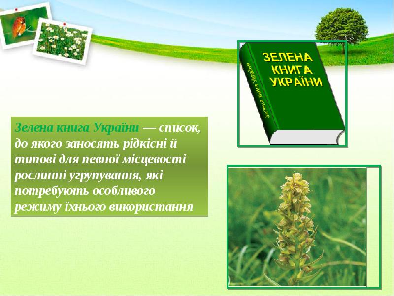 Зеленая книга виды. Зелена книга України. Зелена книга України рослини. Зеленая книга для презентации. Доклад на тему о зеленой книге.