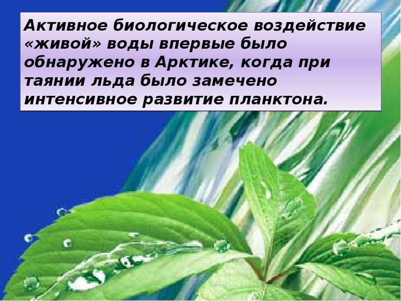 Влияние биологически активной воды на рост растений проект