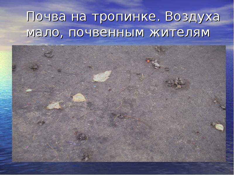 Мало воздуха. Влияние почвы на воздух. Воздух в почве. Воздух в почве презентация. Обнаружение воздуха в почве.