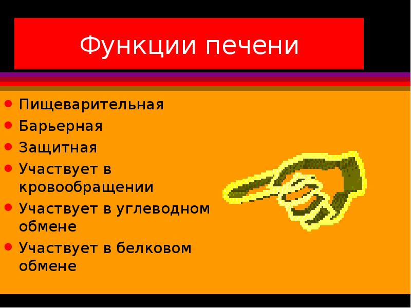 Печень пищеварительная. Пищеварительная функция печени. Пищеварительные и непищеварительные функции печени. Функции печени в пищеварении. Роль печени в пищеварении барьерная.