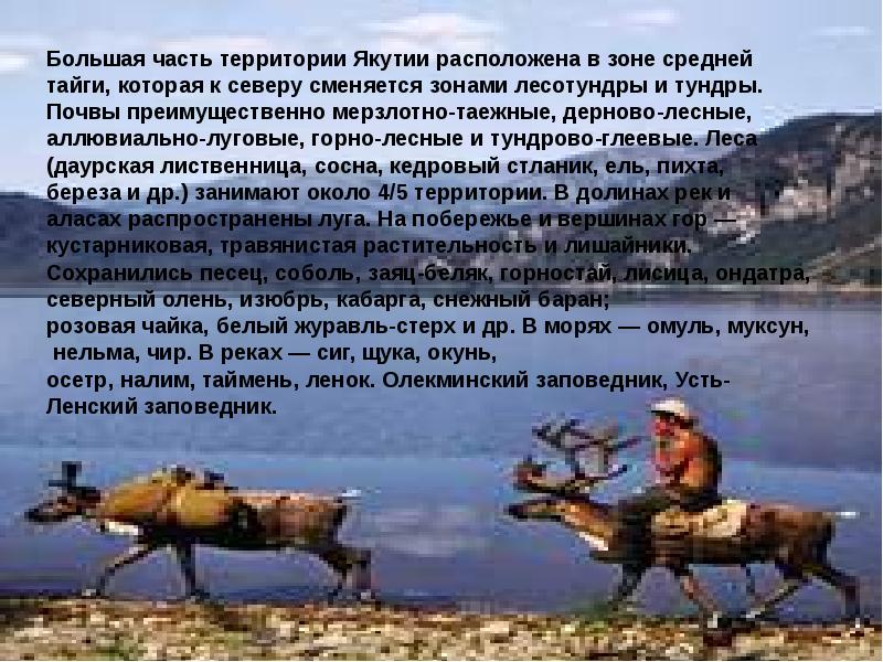 Большая часть территории Якутии расположена в зоне средней
Большая часть Большая часть территории Якутии расположена в зоне средней
Большая часть