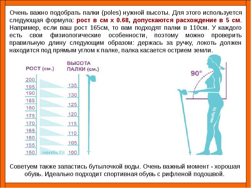 Презентация на тему скандинавская ходьба