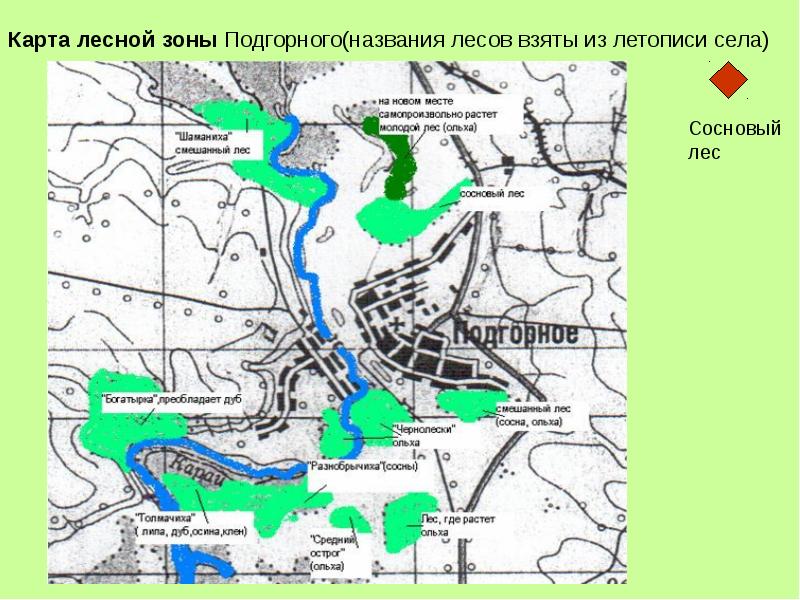 Карта лесной зоны Подгорного(названия лесов взяты из летописи села)