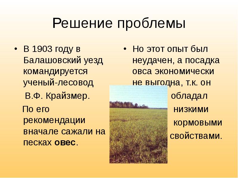Решение проблемы В 1903 году в Балашовский уезд командируется ученый-лесовод 
