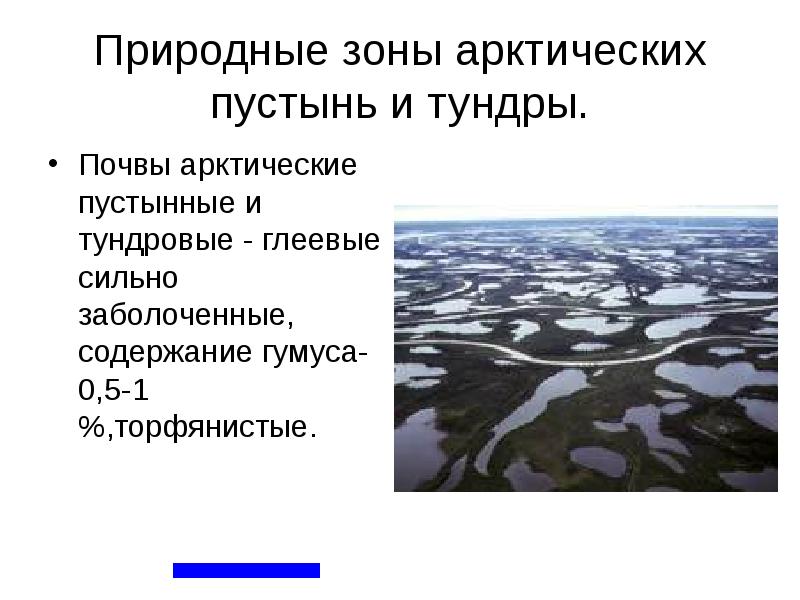 Природные зоны арктических пустынь и тундры. Почвы арктические пустынные и тундровые