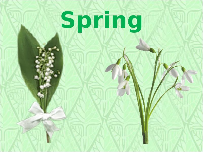 Простой проект на spring