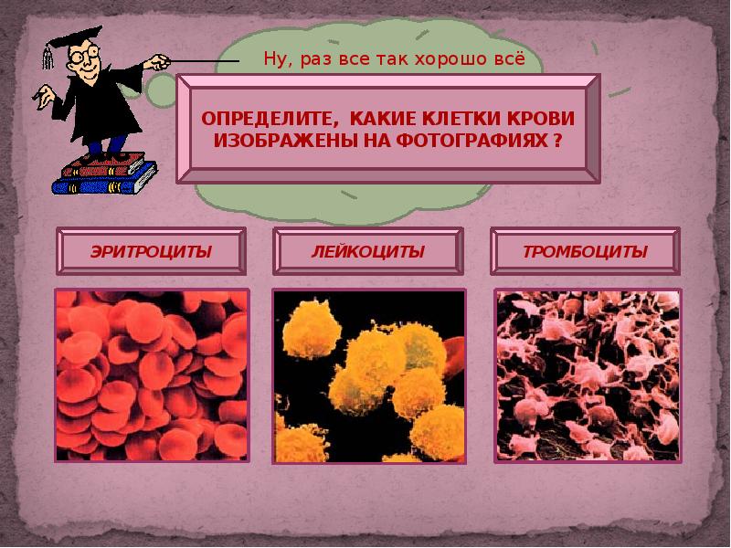 Почему кровь красная проект для 4 класса по окружающему миру