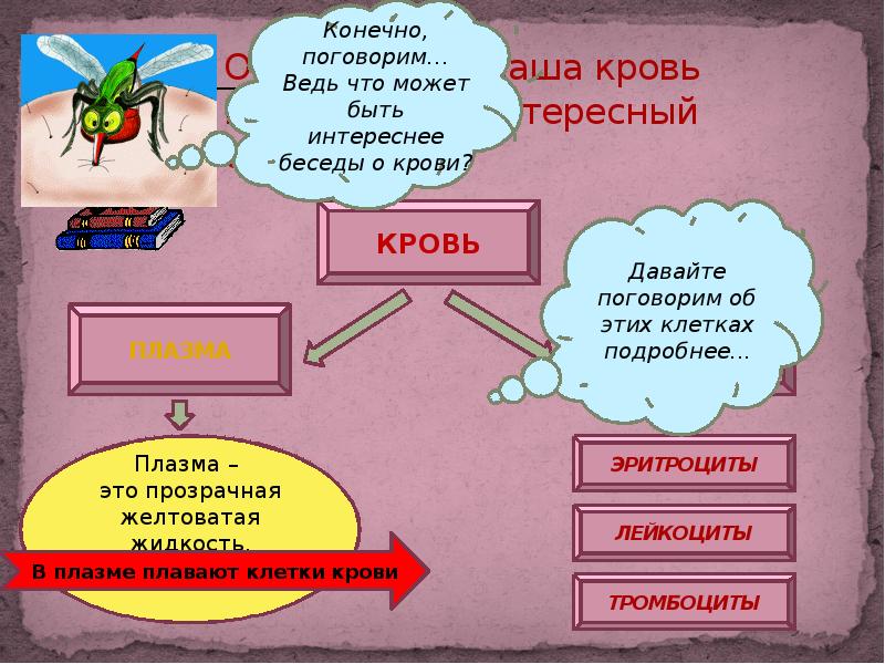 Река жизни кровь презентация