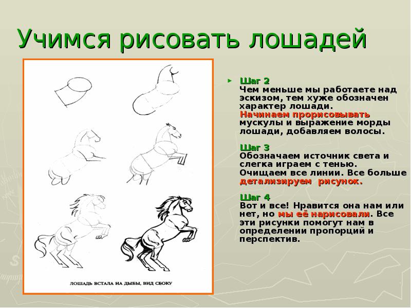 Над эскизом. Характер лошади. План работы над наброском. Характеристика характера лошадей. Относительный характер лошади.