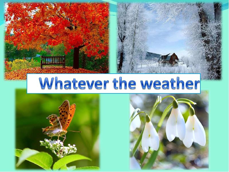 Whatever the weather 6 класс презентация