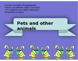 Pets and other animals (Домашние питомцы и другие животные)