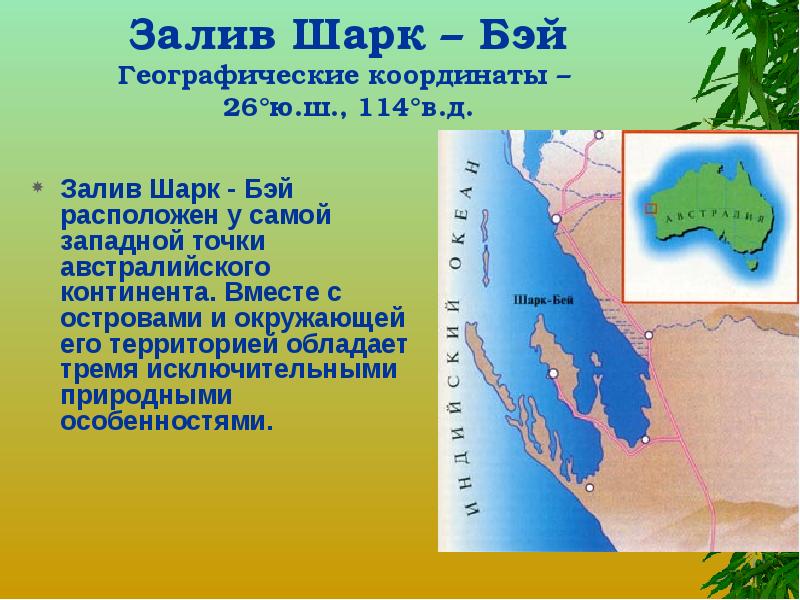 Залив Шарк – Бэй Географические координаты –  26°ю.ш., 114°в.д. Залив