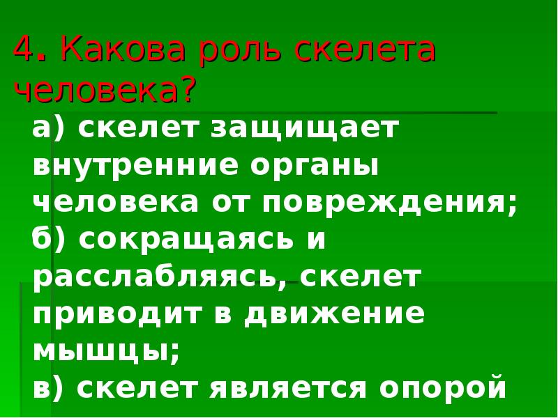 Каково значение скелета для человека