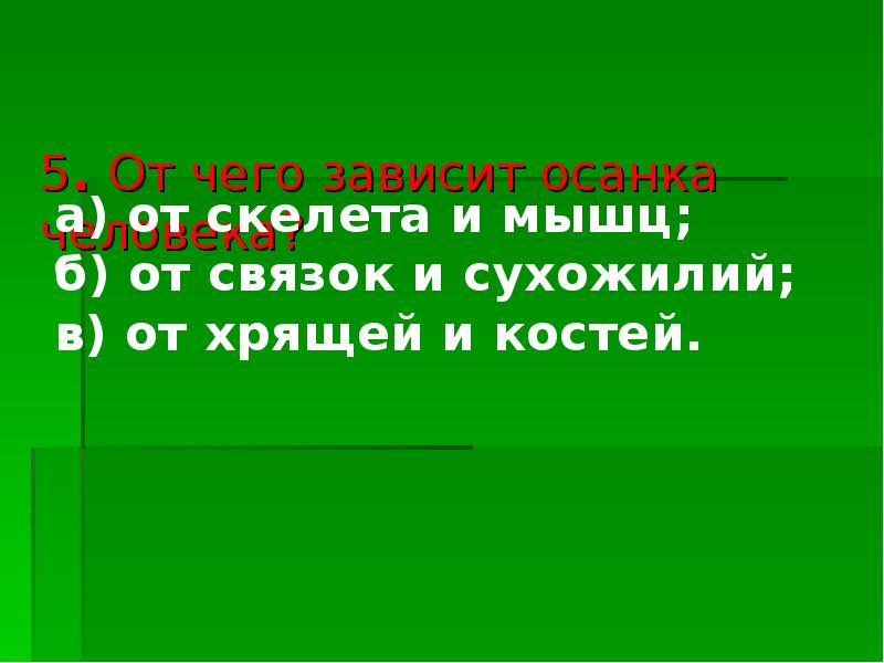 от каких органов зависит осанка человека
