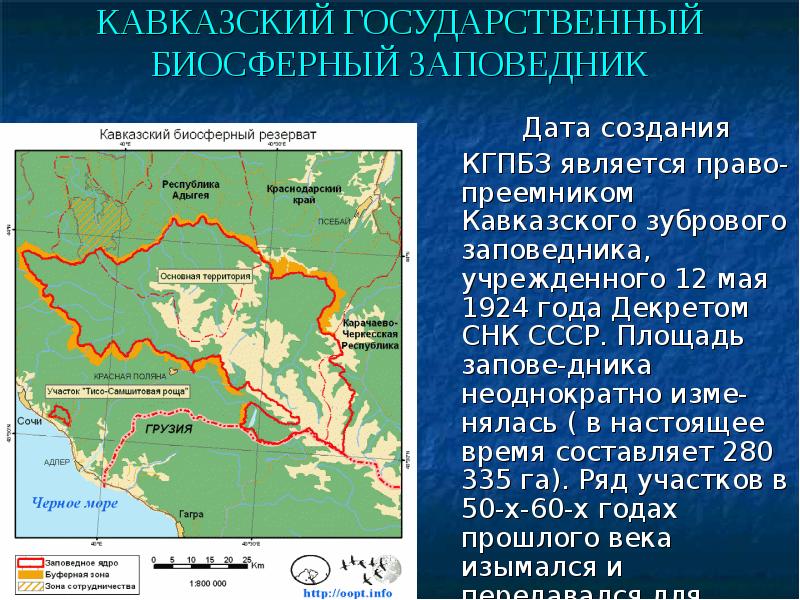 Кавказский заповедник презентация