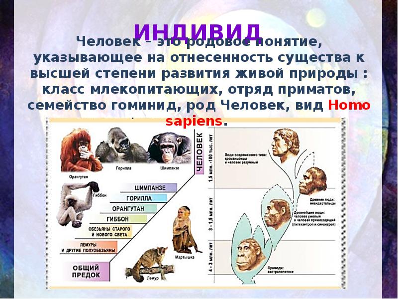 Семейства приматов таблица. Личностью не рождаются личностью становятся. С какого возраста человек становится личностью. Личностью рождаются дважды картинки для презентации.