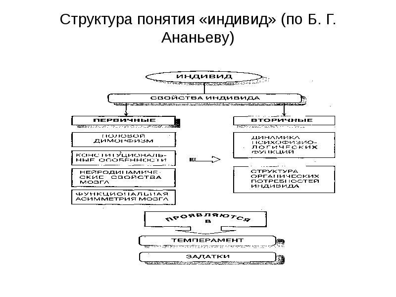 Индивид структура. Структура понятия «индивид» (по б. г. Ананьеву). Структура понятия личность по Ананьеву. Структура понятия индивидуальность по б г Ананьеву. Структура понятия личность по б.г Ананьеву.