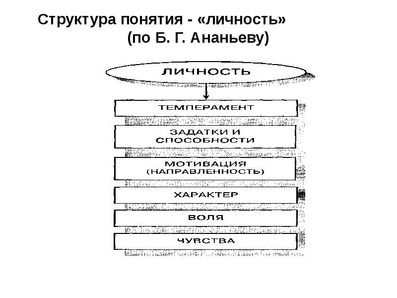 Схема психологической макроструктуры человека по ананьеву