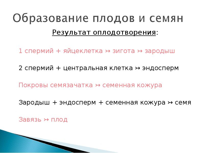 Что образуется в результате оплодотворения. Результат оплодотворения. в результате оплодотворения образуется. закончите предложение в результате оплодотворения образуется. закончи предложения в результате оплодотворения образуется.