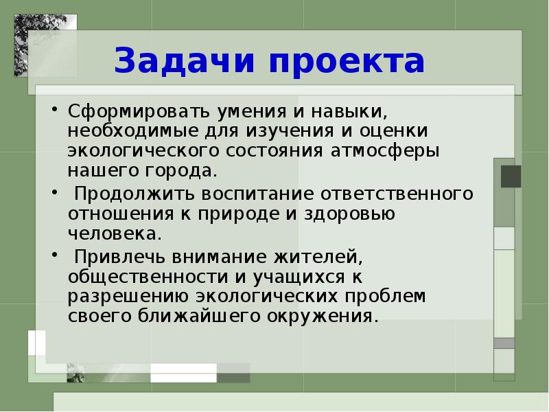 Экологические проблемы камчатки презентация