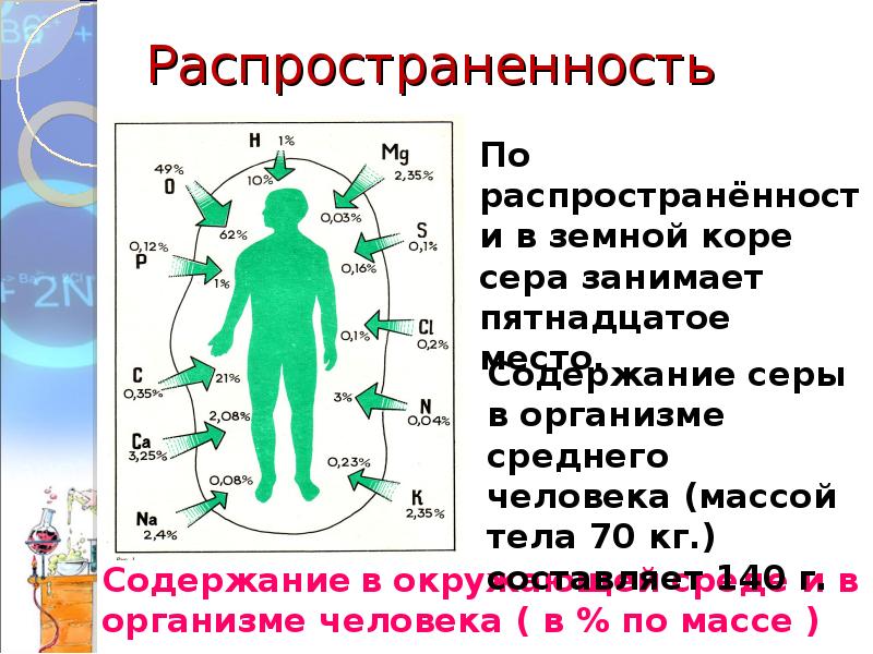 Сера для людей инструкция. Содержание серы в организме. Сера в организме человека. Распространенность серы. Содержание серы в организме человека.