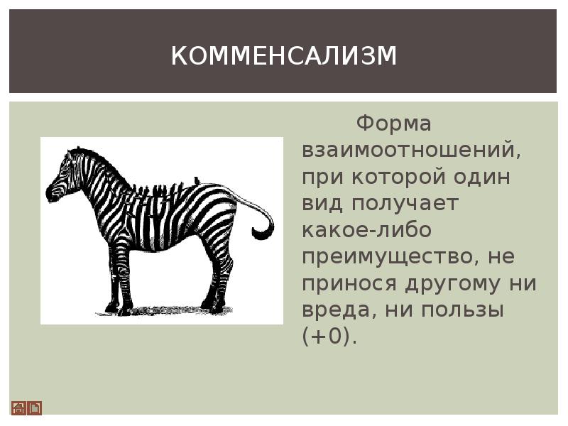 Вид получиться. Один вид получает преимущество не принося другому ни вреда ни пользы. Форма взаимоотношений при которой один вид получает какое. Формы комменсализма. Один вид получает пользу другой не испытывает вреда.