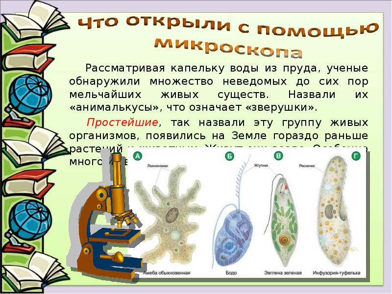 С помощью микроскопа. Открытия с помощью микроскопа. Что открыли с помощью микроскопа. Простейшие в капле воды. Открытия сделанные с помощью микроскопа.