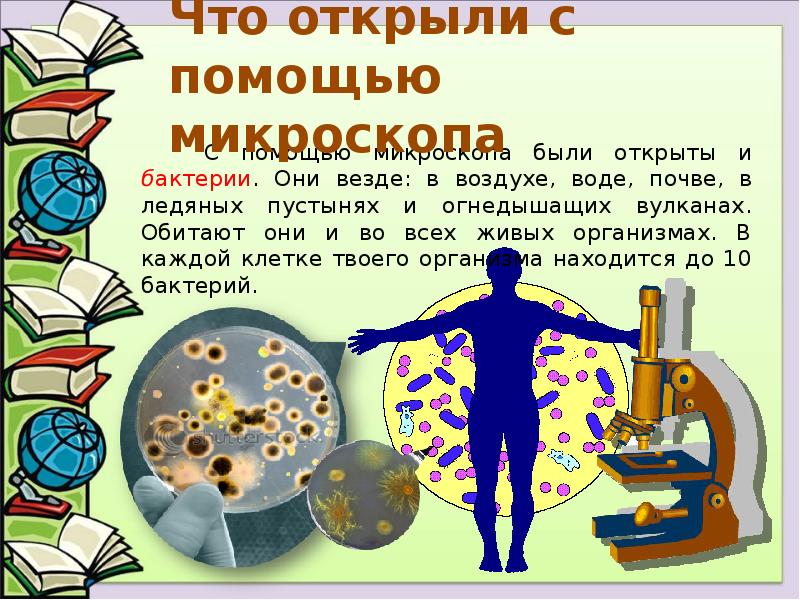 С помощью микроскопа. Открытия с помощью микроскопа. Что открыли с помощью микроскопа. Открытия совершенные с помощью микроскопа. Открытия сделанные с помощью микроскопа.