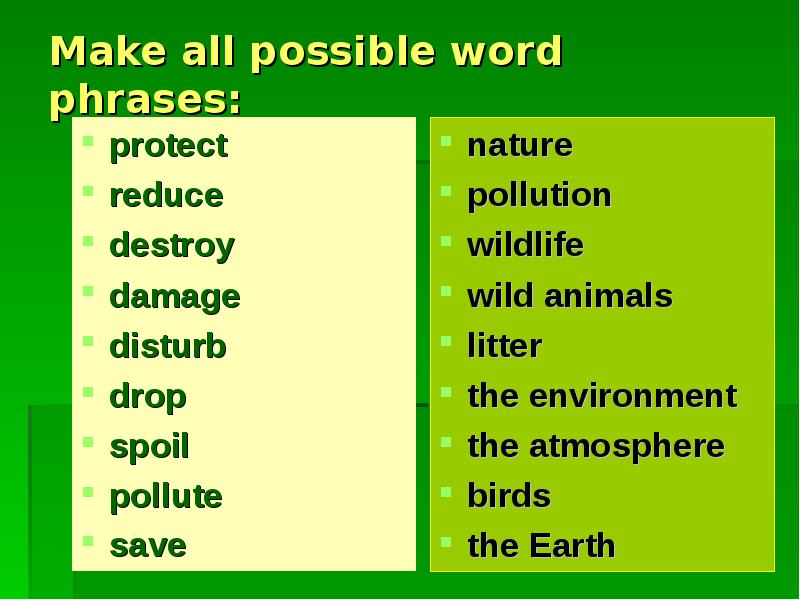 All make. Предложения со словом to Damage. Words and phrases. Make all possible Word phrases protect nature reduce pollution. Possible формы.