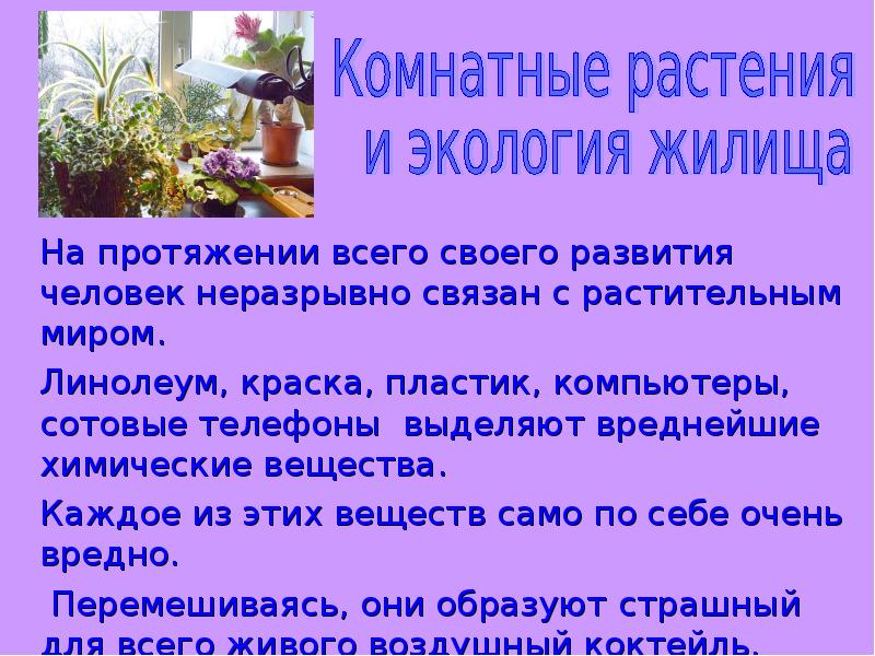 Экология жилища микроклимат в доме 7 класс план урока