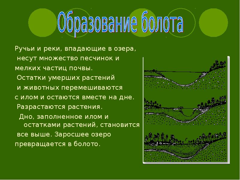 Презентация болота 6 класс география