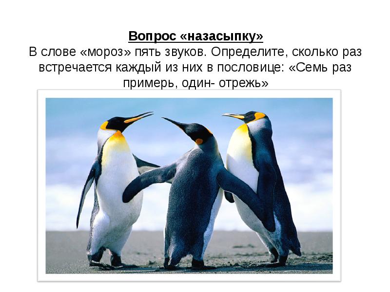 Сколько раз встречается звук. Сколько звуков в слове Мороз. Звуки в слове Мороз.